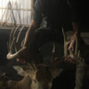 Meet your Posher, Waylen